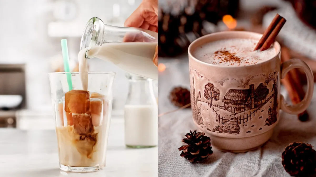 best coffee creamer for burn fat