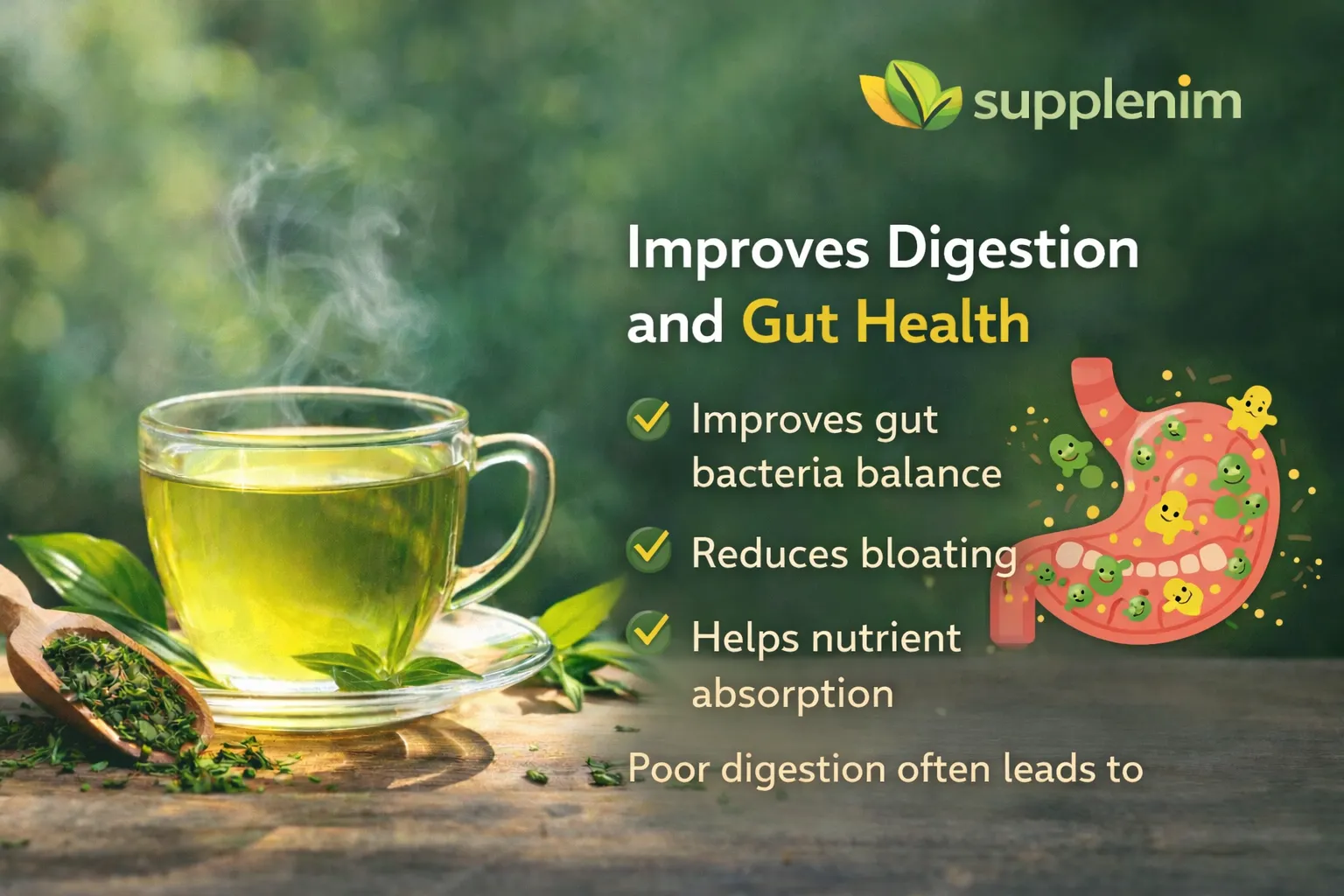 Improves Digestion and Gut Health