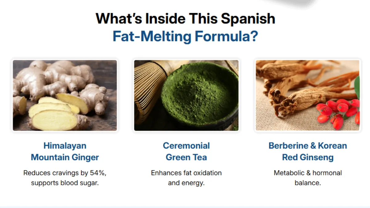 Key Benefits of Citrus Burn